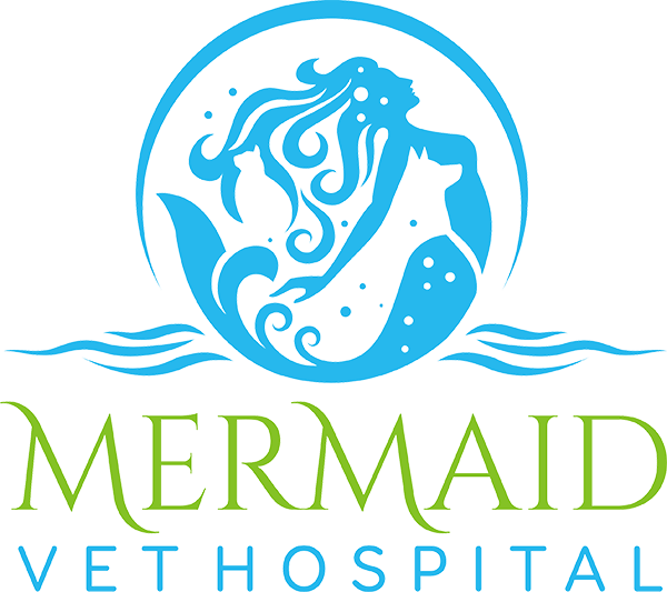 Mermaid Vet Hospital