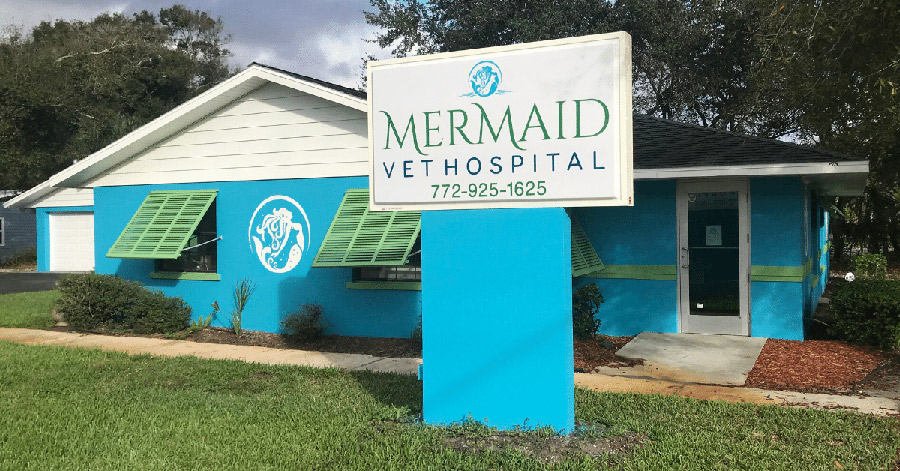 Mermaid Vet Hospital building exterior